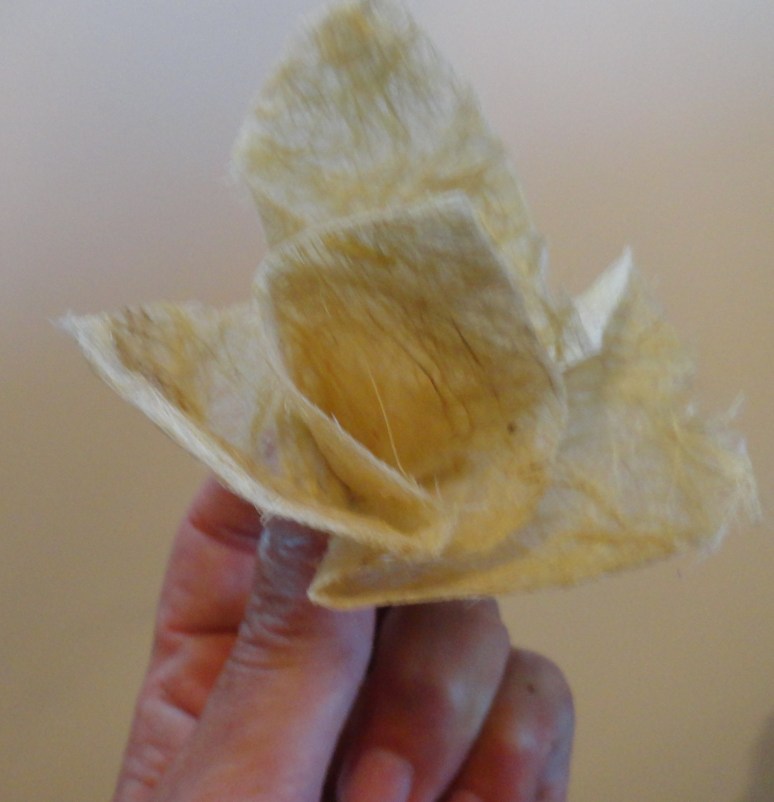 lamp for website 007