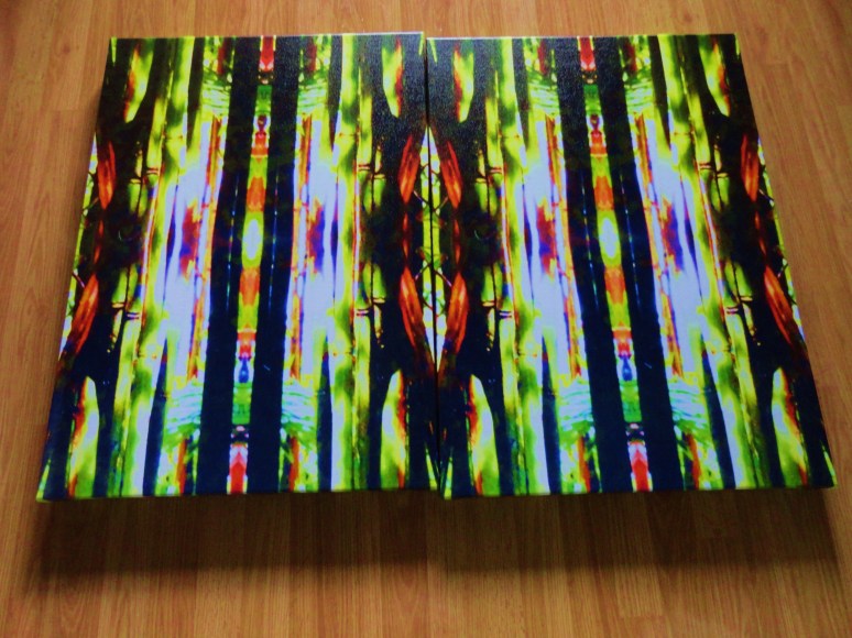 #5      2 PANELS SIDE BY SIDE