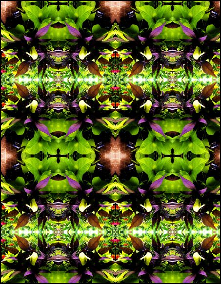 Capture summer garden 02