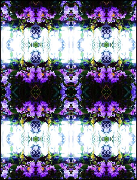 Capture summer garden