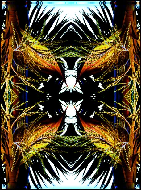 Capture summer garden03