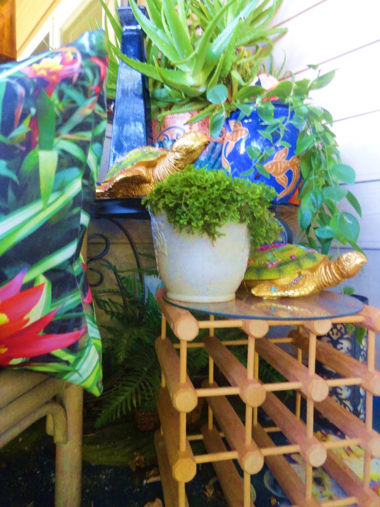 OUR GARDEN IN JUNE 024